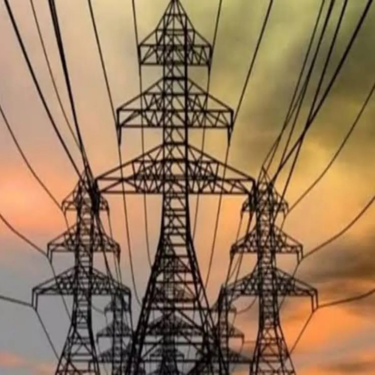 Upcl Profit Upcl Profit Munaphe Men