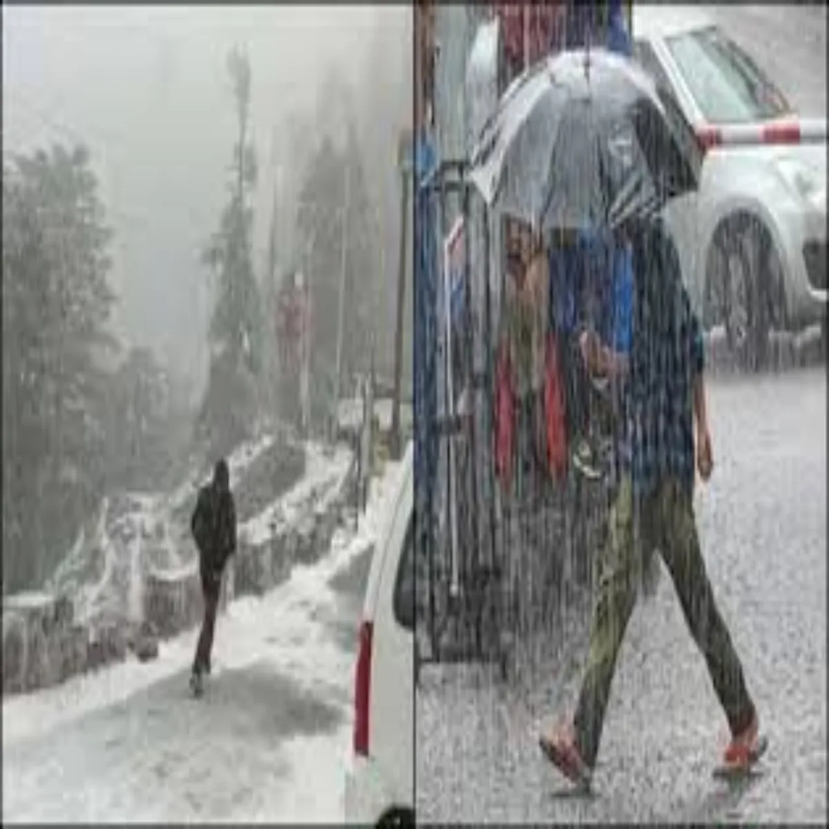 Weatherforecast Weatherforecast Uttrakhnd Kee Jilon Men