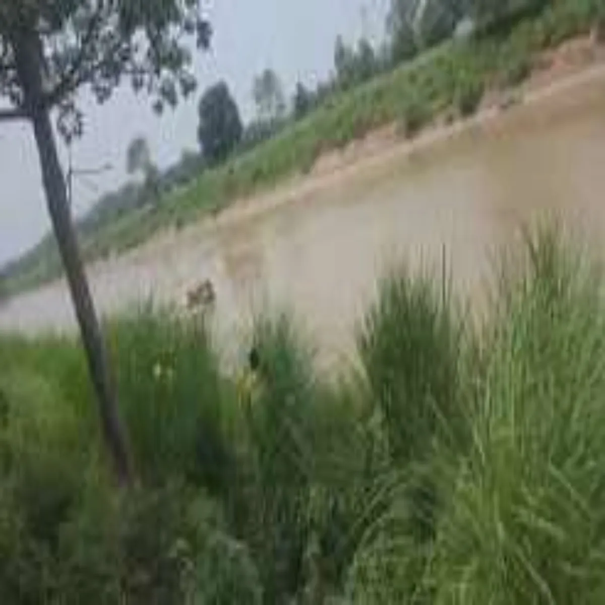 Accident Accident Gngnhr Men Mhila Masum