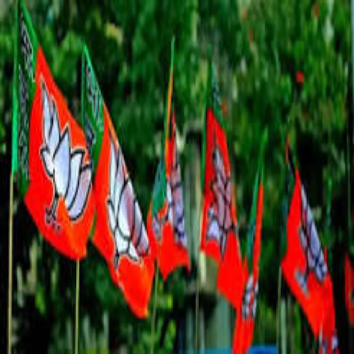 Bjp 2027 Bjp Taiyari Men Sngthnatmk
