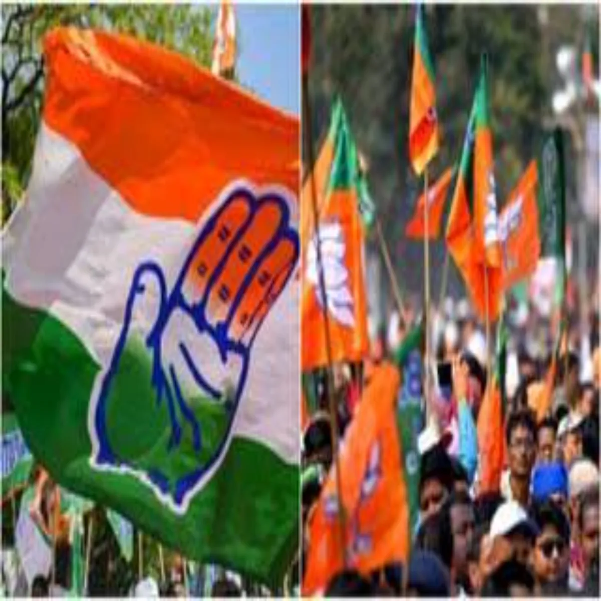 Bjp Bjp Nikay Chunav Chuke Prtyashiyon