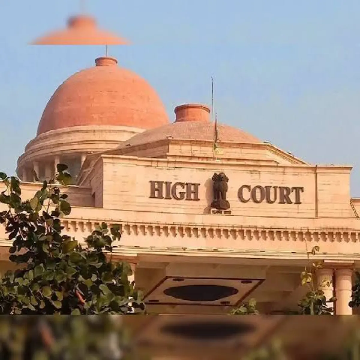 Courtorder Courtorder Lkhnoo Jila Nyayaly Hinsa