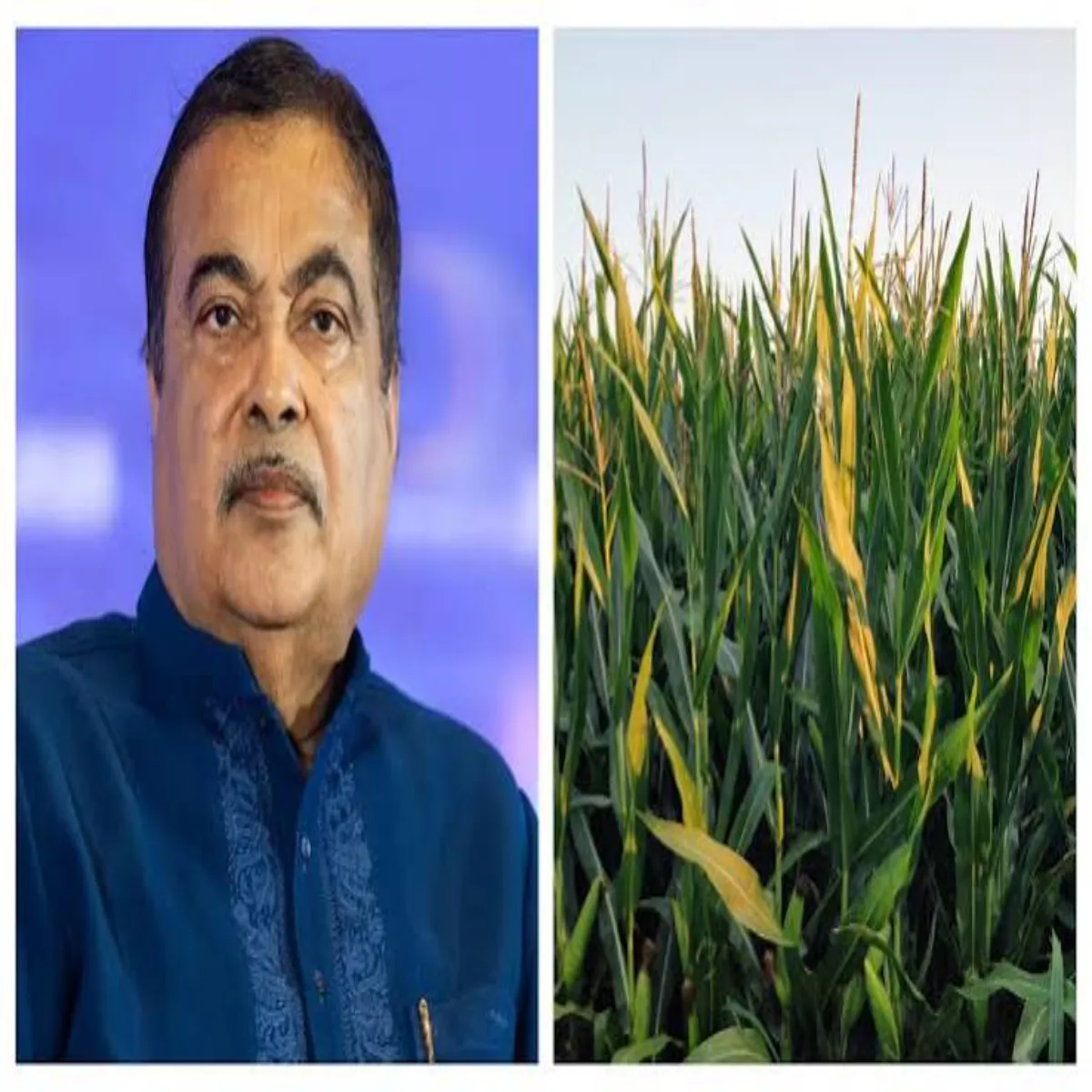 Ethanol Ethanol Ithenl Mishr Srkar Pksh