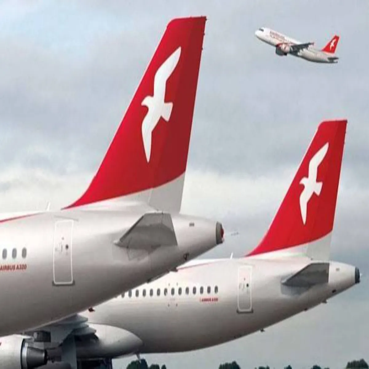 Flight Flight Lkhnoo Phunchne Phle Viman
