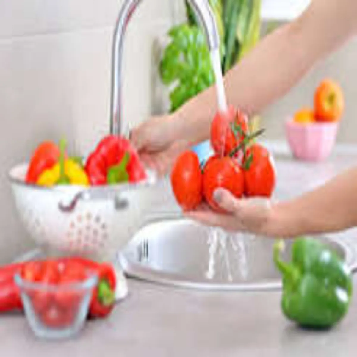 Foodsafety Foodsafety Dobara Grm Kie Kuchh