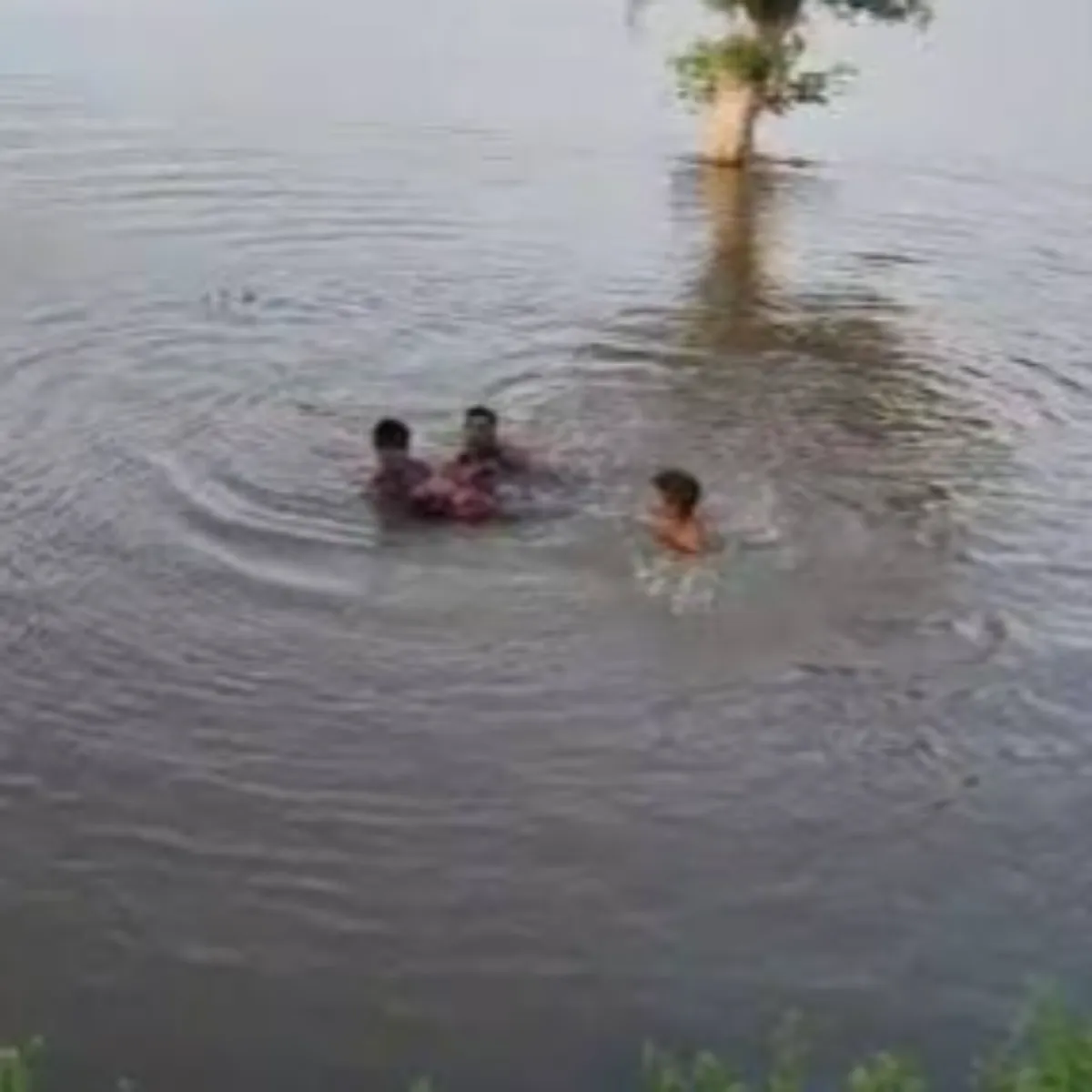 Rescue Rescue Khndva Men Ndi Bich
