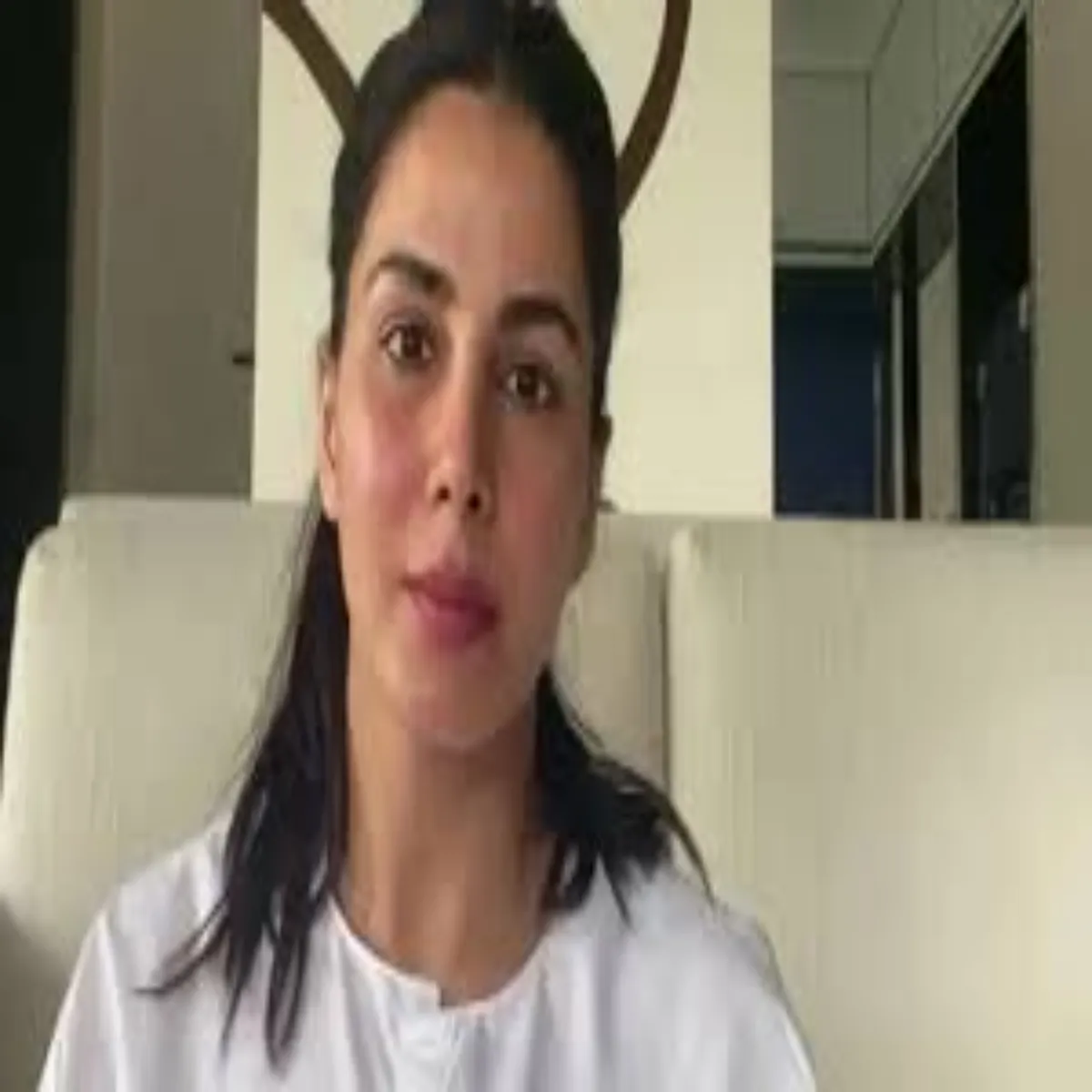 Cyberfraud Cyberfraud Abhinetri Kirti Kulhari Saibr