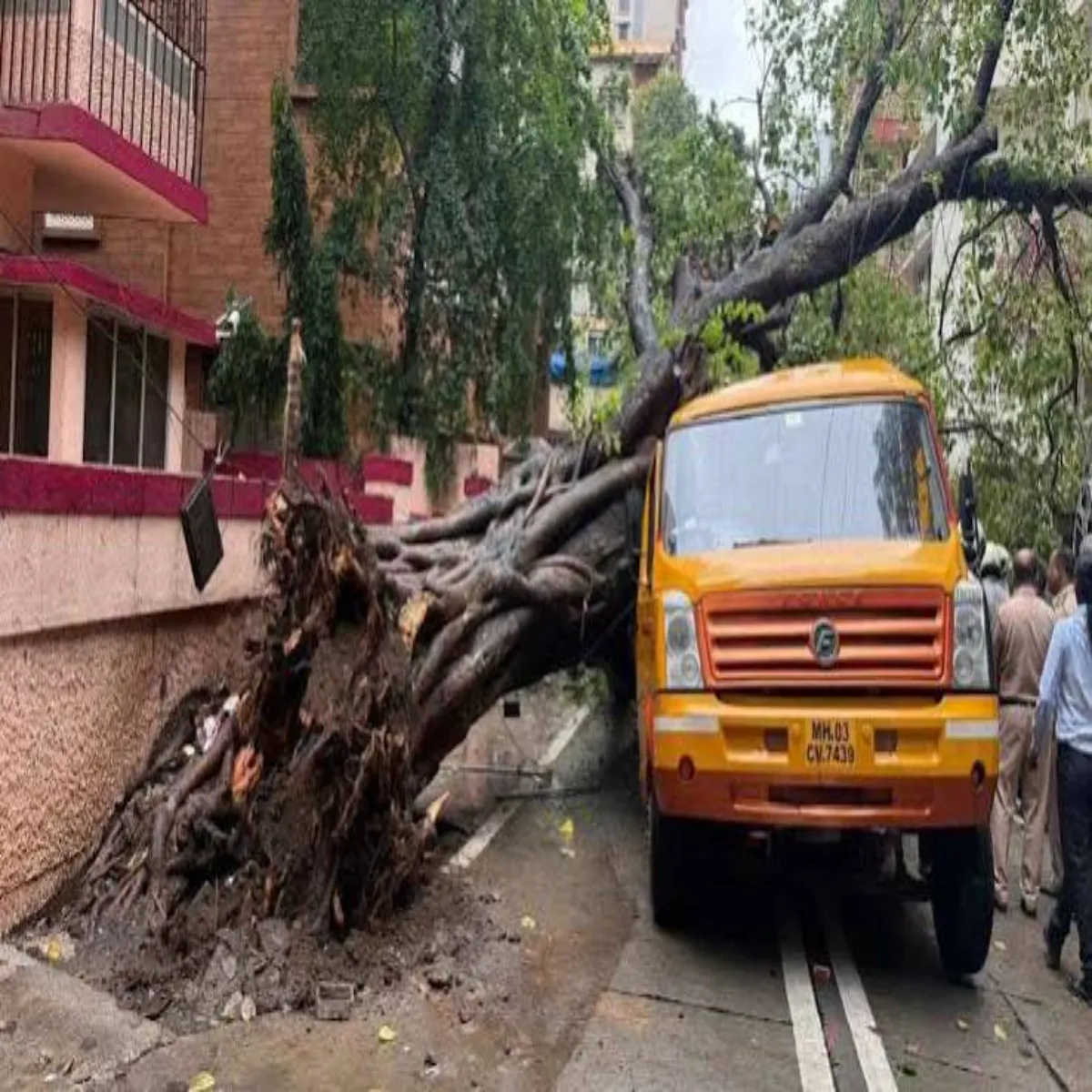 Mumbairain Mumbairain Chenbur Men Skul Mumbairain