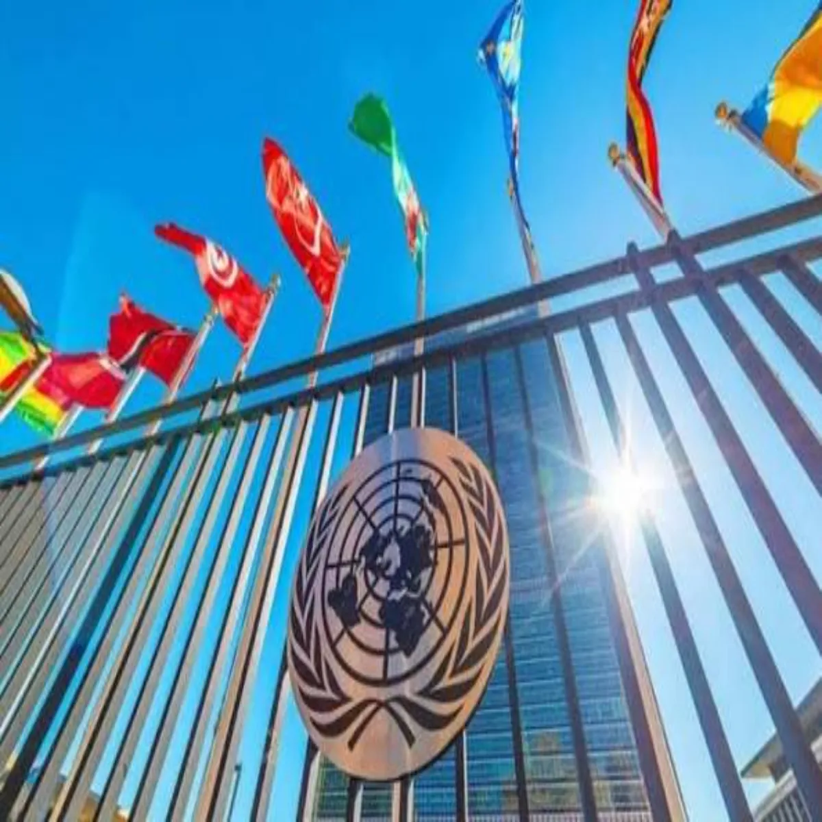 Humanrights Pok Humanrights Pok Sthiti Snyukt