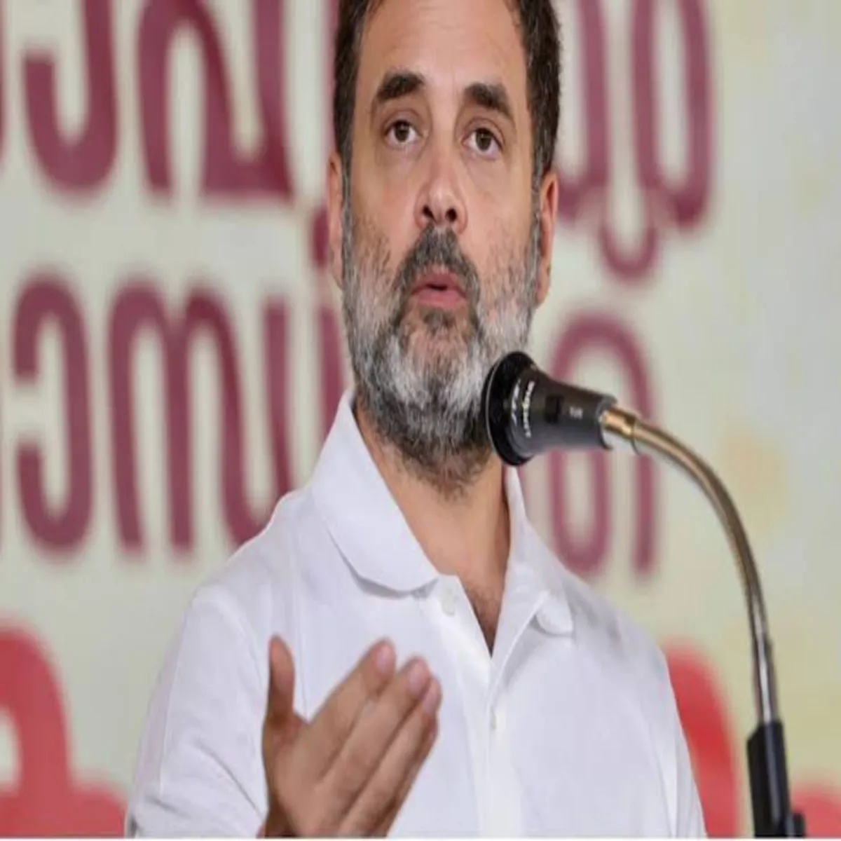 Politics Politics Rahul Gandhi Hirast Tivike