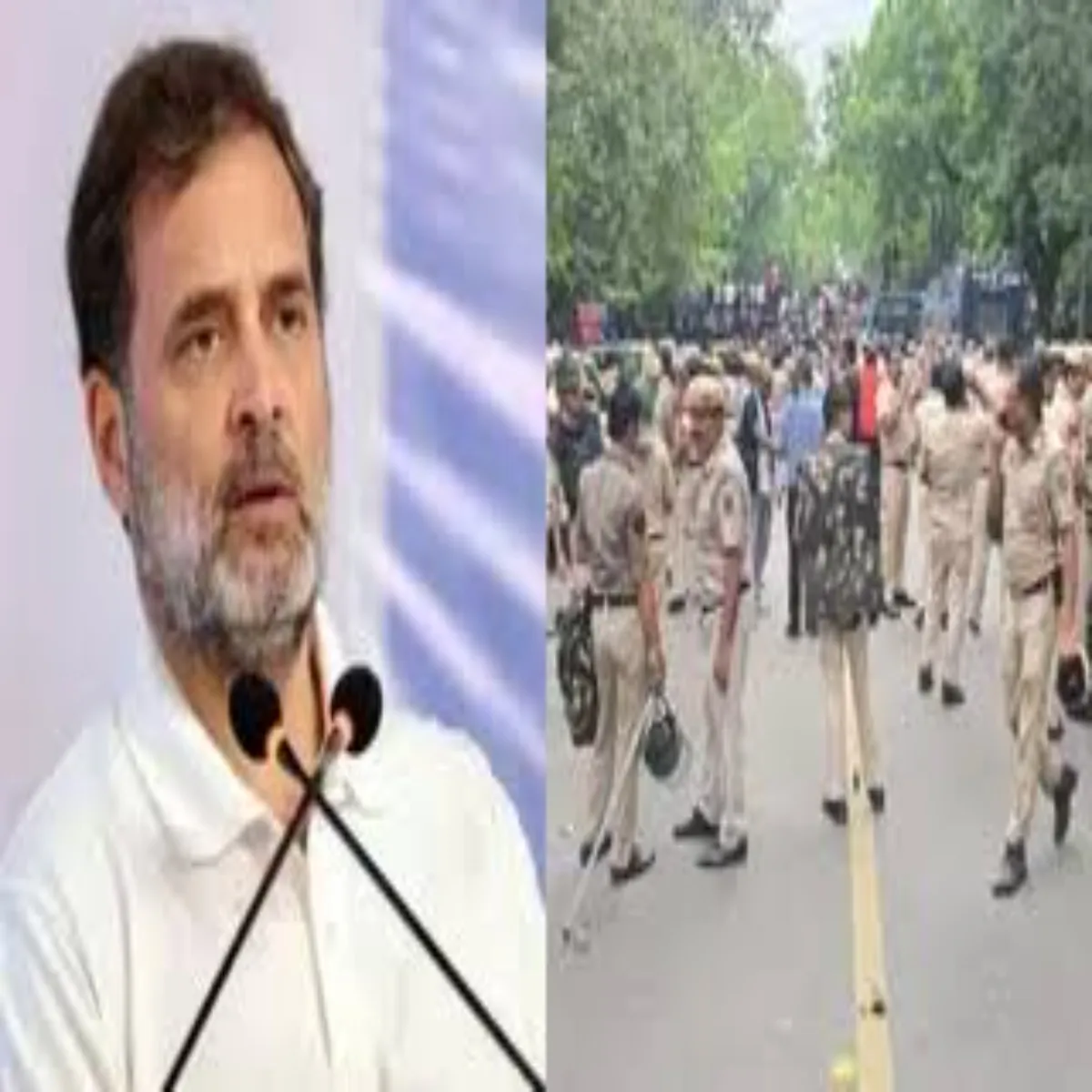 Educationnews Educationnews Chhatron Prdrshn Rahul Gandhi