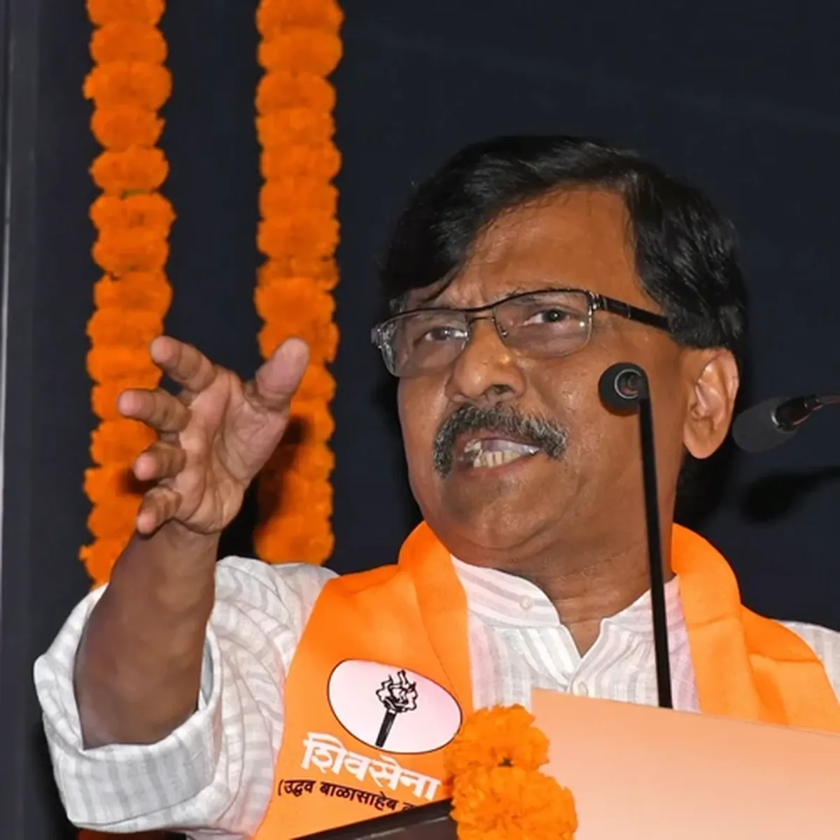 Election Election Snjy Raut Bhajpa Dlbdl