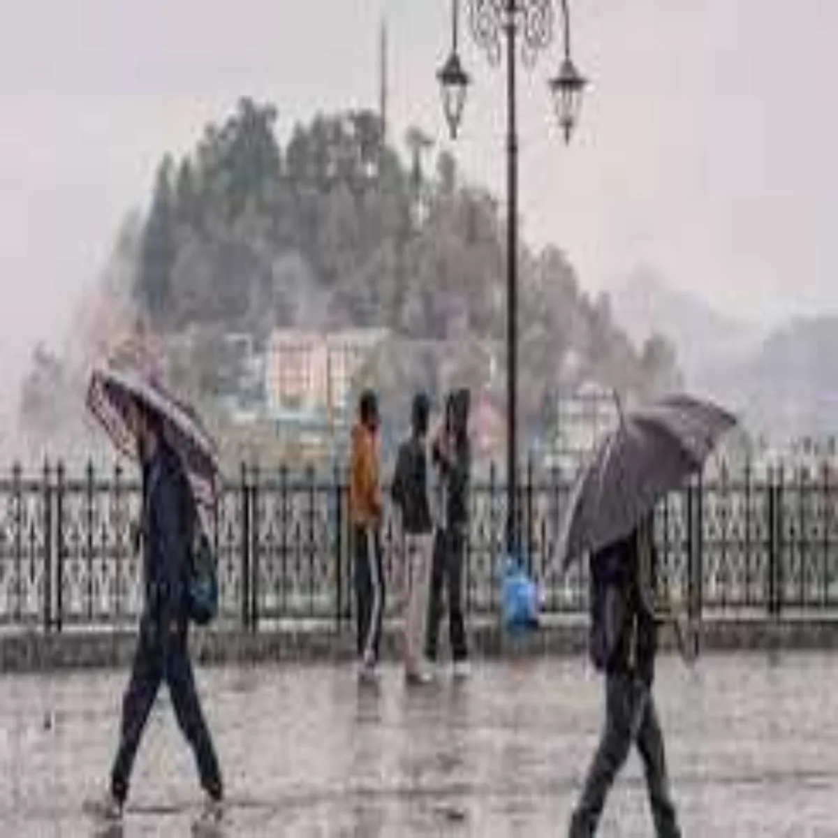 Monsoon Monsoon Uttr Prdesh Men Mansun