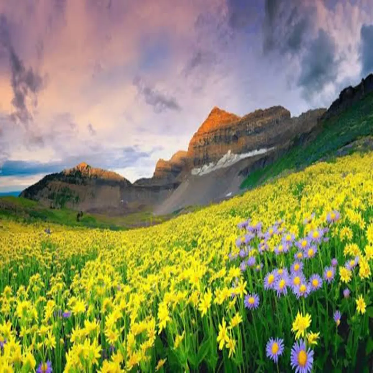 Tourism Tourism Vishesh Postkard Jrie Desh