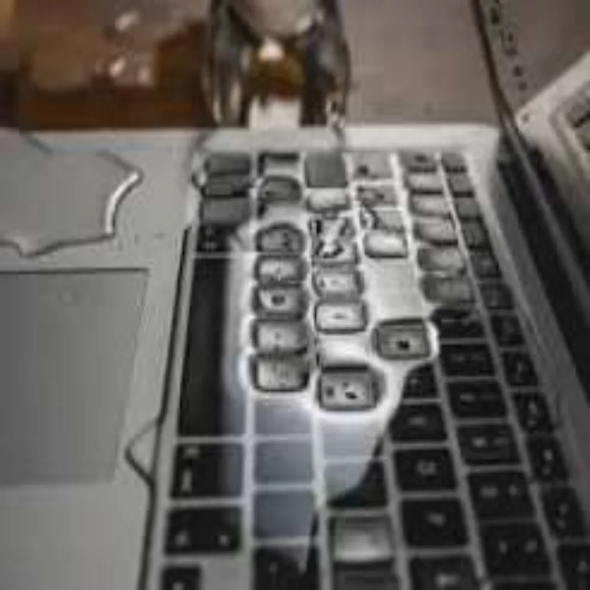 Laptopcare Laptopcare Barish Men Bhig Gya