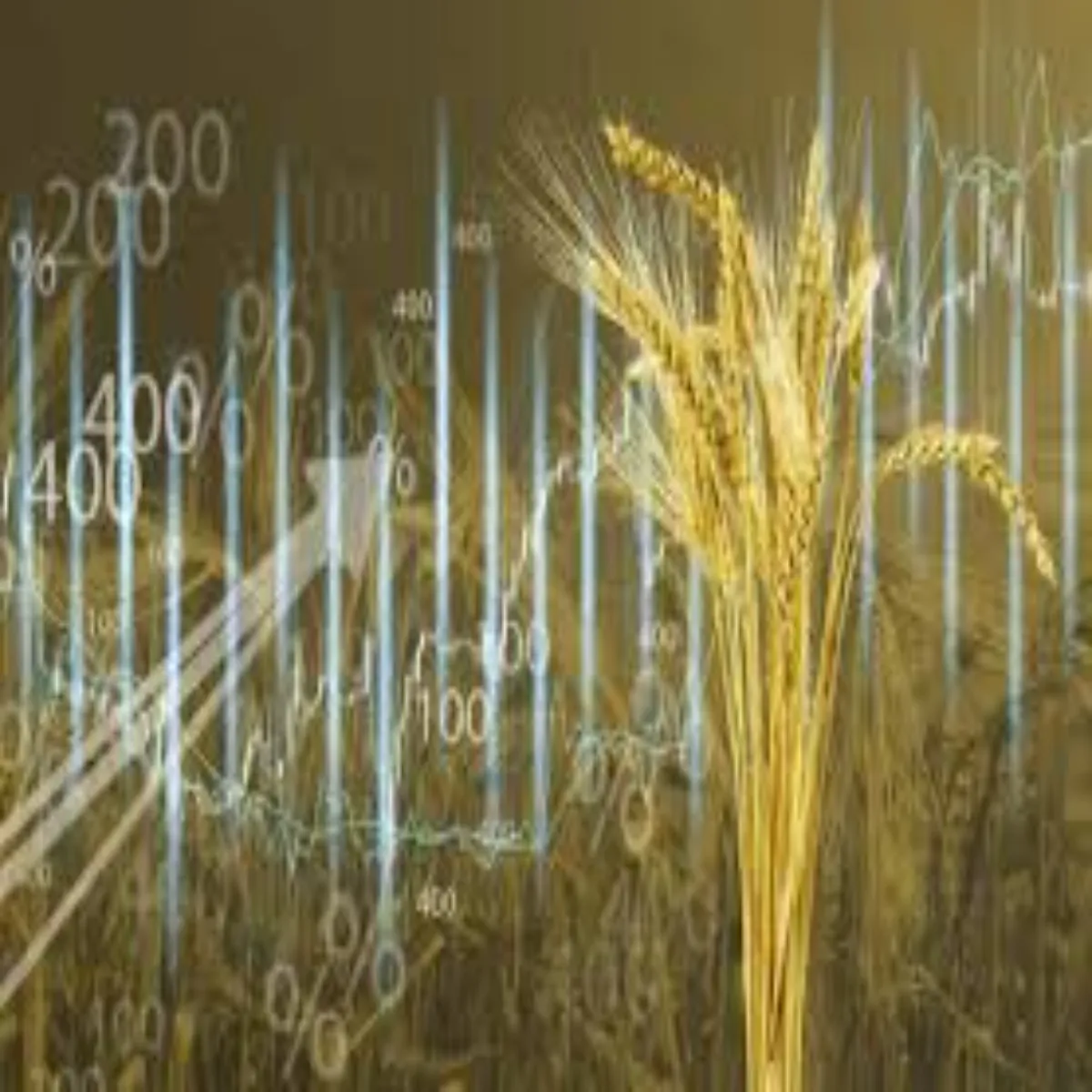 Foodprices Foodprices Gehun Sath Khady Telon