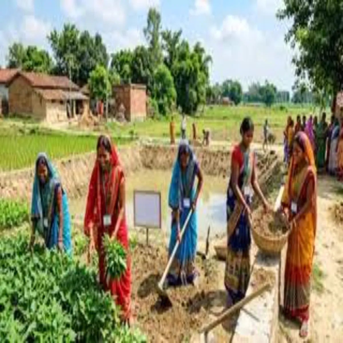 Ruralmarket 203 Ruralmarket Bihar Men Grami
