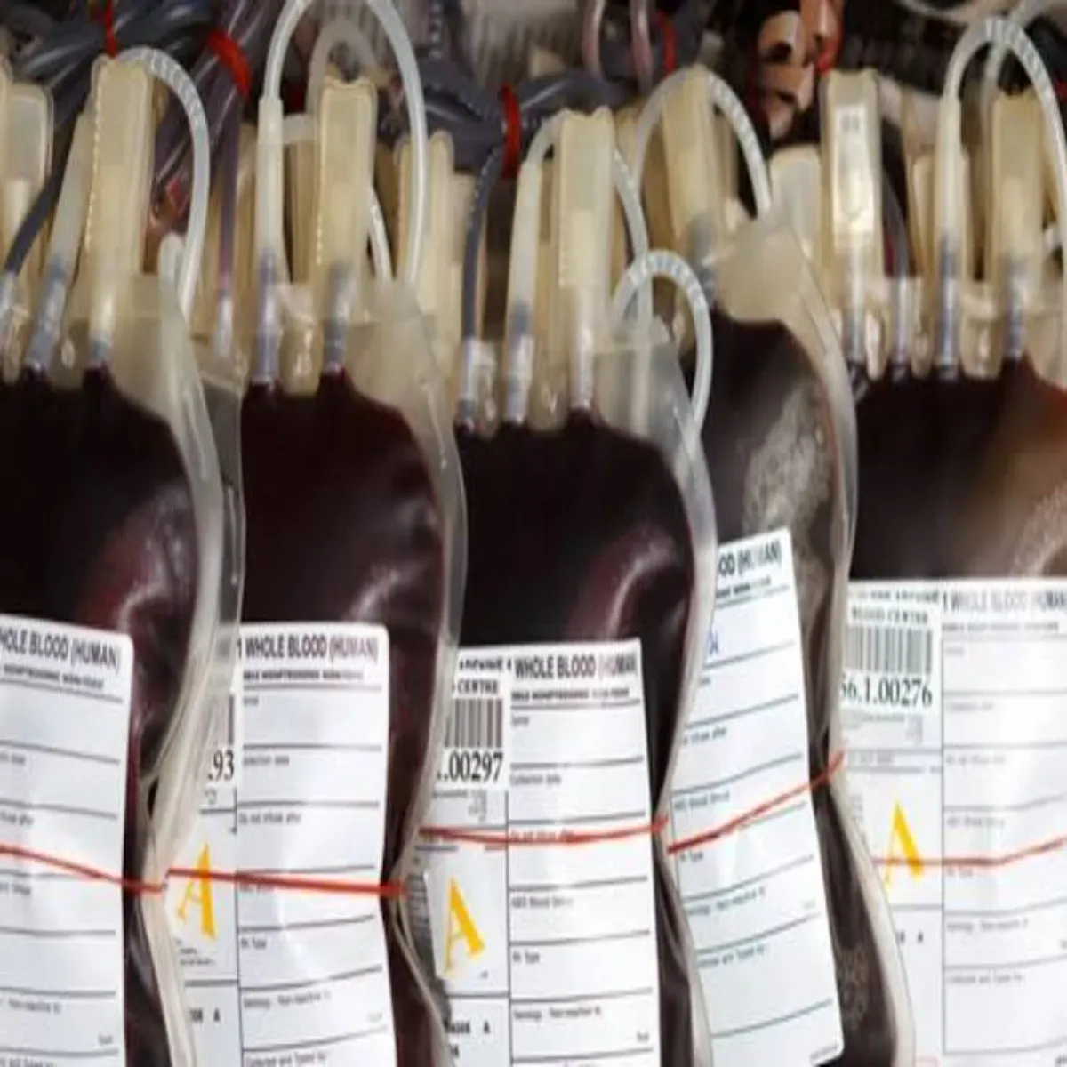 Blood Banks Blood Banks Mharashtr Men