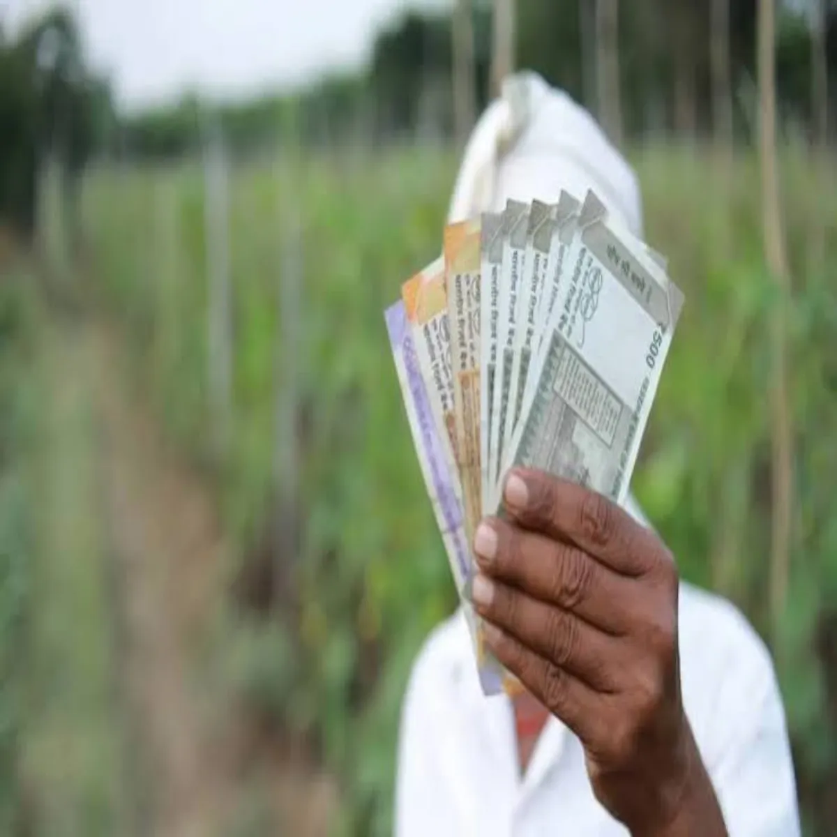 Pmkisan Pmkisan 24vin Kist Phle Kisanon