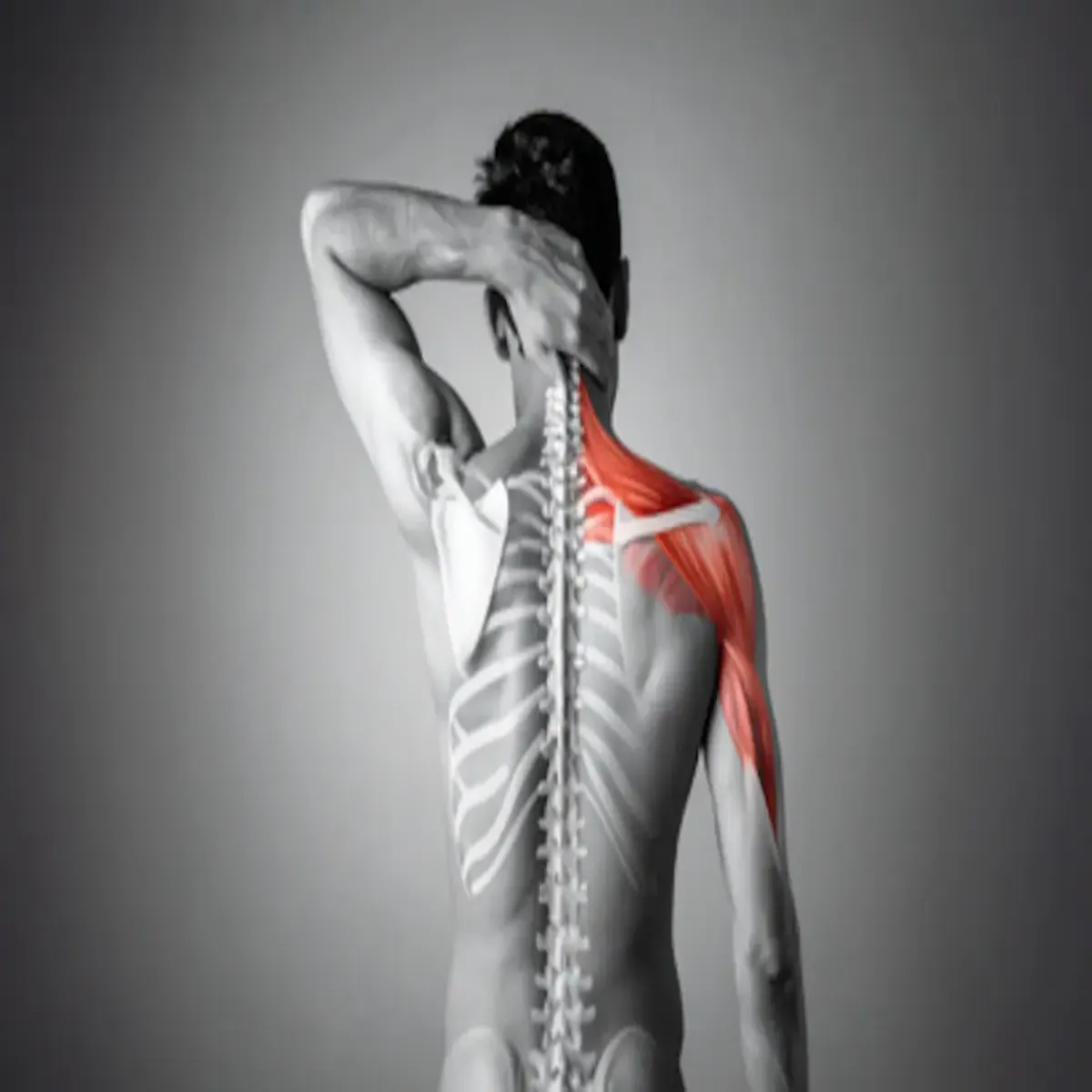 Shoulder Pain Shoulder Pain Kanvd Yatra
