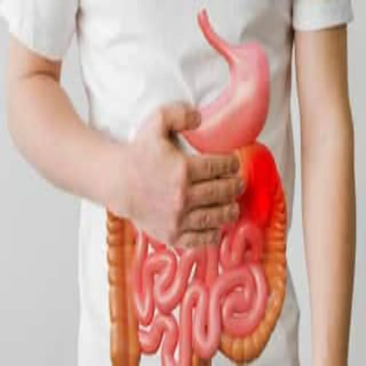Stomachinfection Stomachinfection Pet Snkrm Bchna Stomachinfection